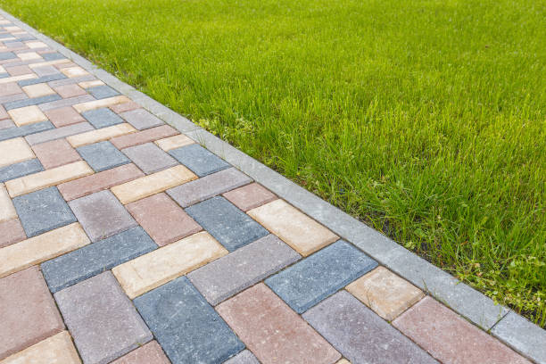Best Driveway Pavers Contractor  in Waldron, AR